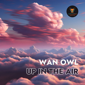 Wan Owl - Up in the Air (Extended Mix)