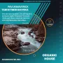 Таинственная река