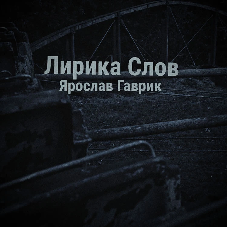 Ярослав Гаврик - Жизнь