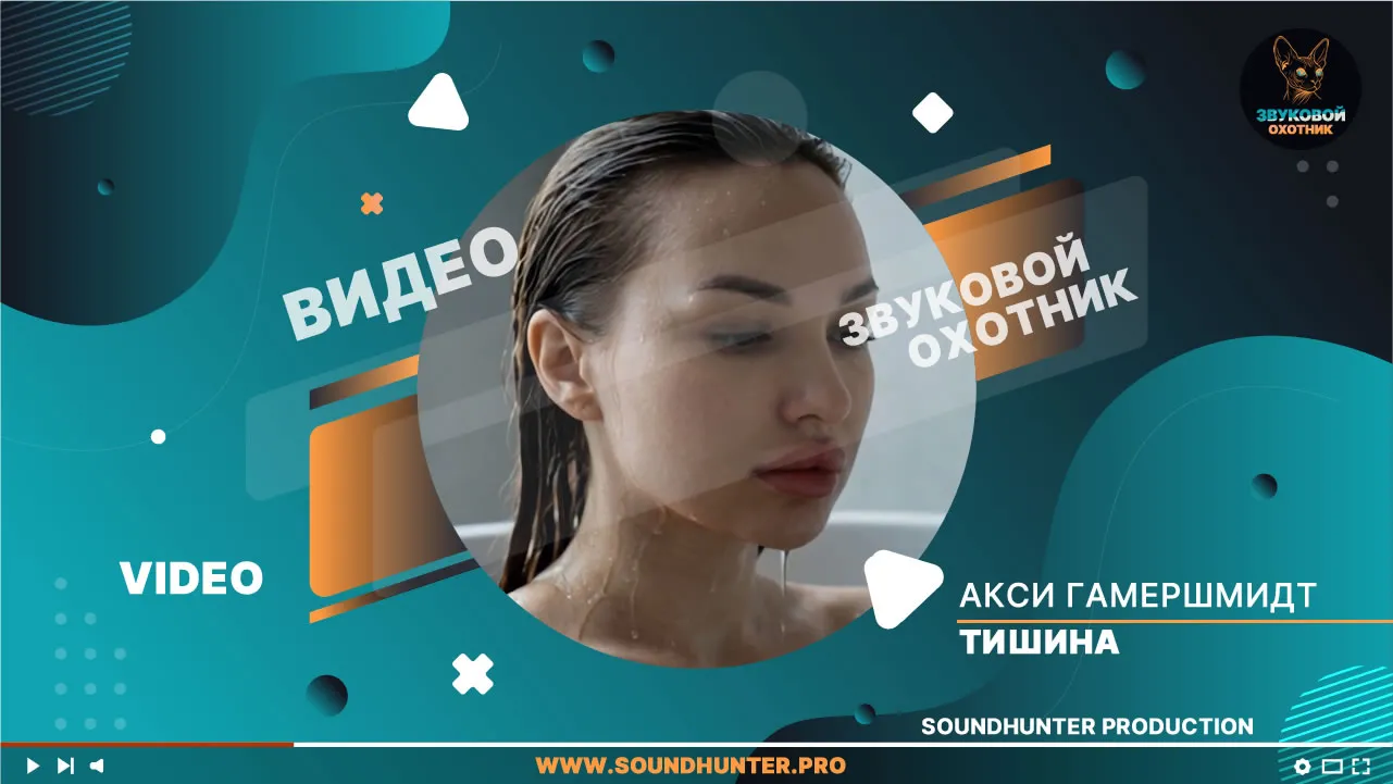 Акси Гамершмидт - Тишина